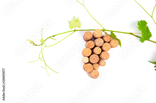 Wine corks grape shape and vine. Isolated on white background. Top view with copy space for your text - Image