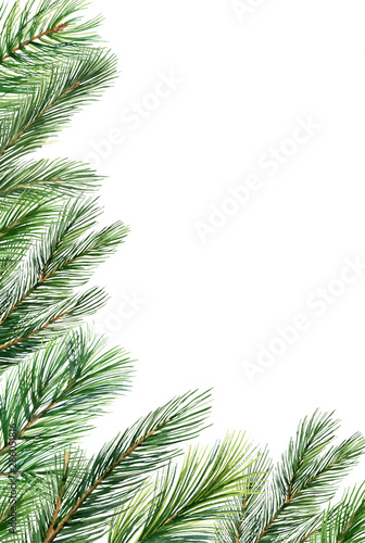 Watercolor vector Christmas banner with fir branches and place for text.