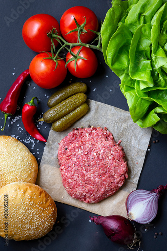 Obraz na płótnie Domowy burger w salonie