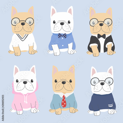 cute flat style french bulldog dog in gentle man costume