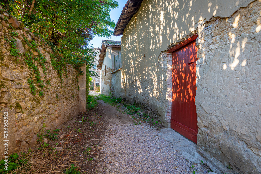 Leaves and branches casting a shadow on a red door, Perouges, France ...