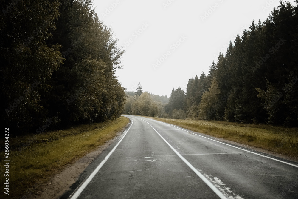 autumn forest road on a foggy morning autumn forest road on a foggy morning