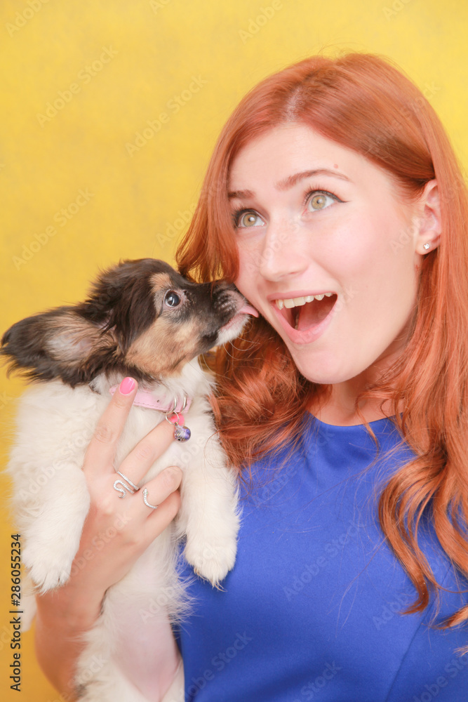 Relaxed red-haired girl embracing puppy on yellow background. Studio portrait of white appealing woman chilling with dog. Relaxed red-haired girl embracing puppy on yellow background. Studio portrait of white appealing woman chilling with dog.