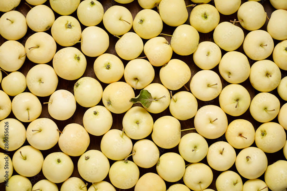 A bunch of freshly harvested small apples. Close up background