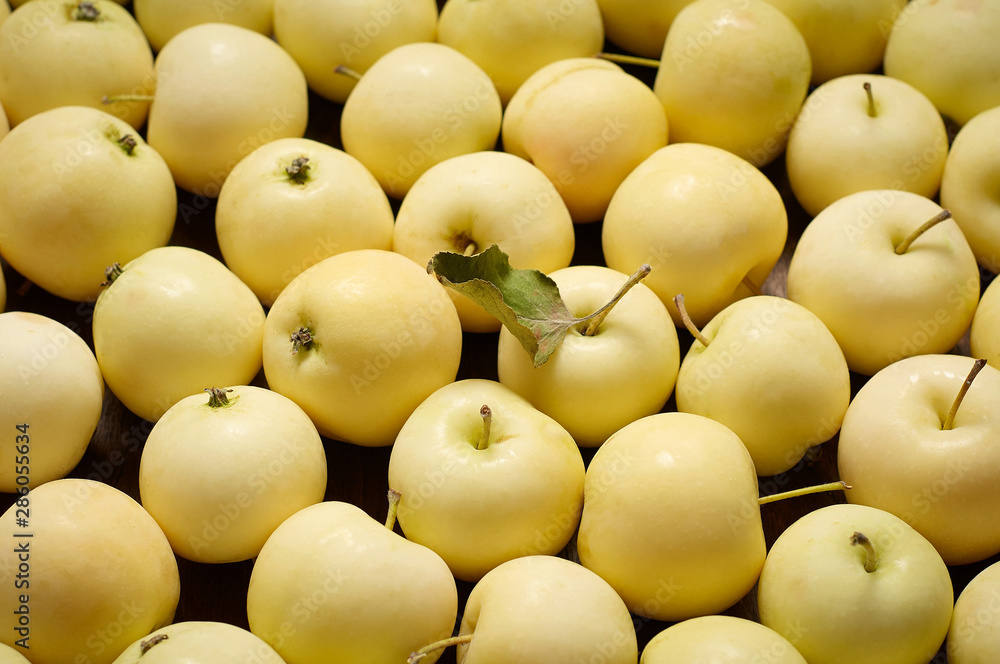 A bunch of freshly harvested small apples. Close up background