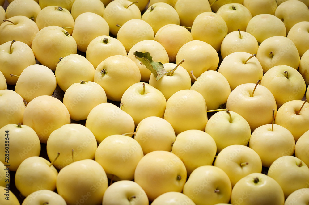 A bunch of freshly harvested small apples