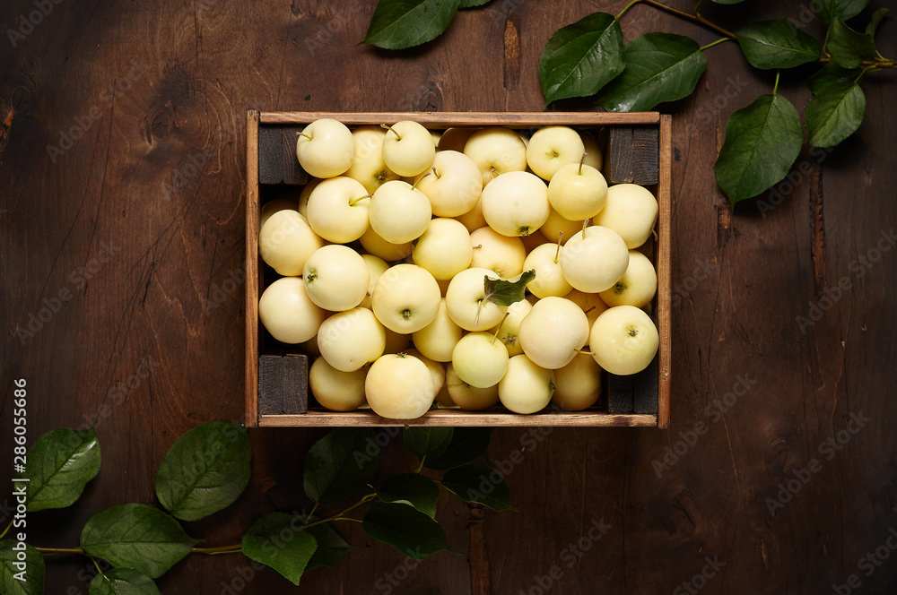 Freshly harvested small apples in box with leaves on wooden background