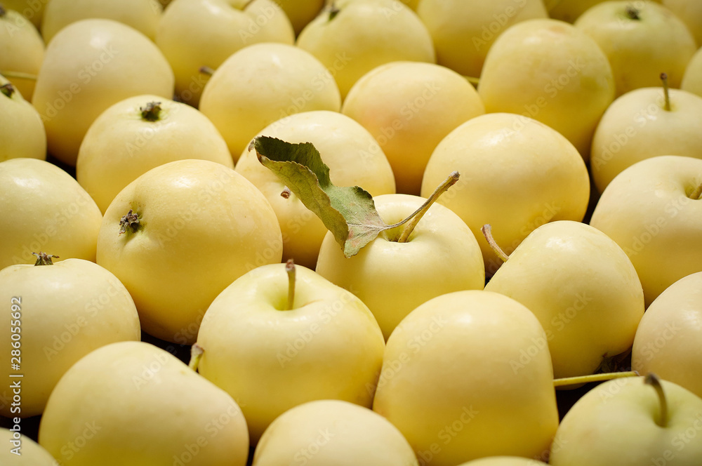 A bunch of freshly harvested small apples