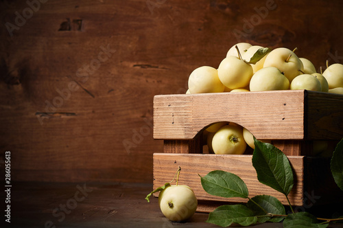 Obraz na płótnie Freshly harvested small apples in box with leaves on wooden background w salonie