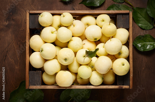Obraz na płótnie Freshly harvested small apples in box with leaves on wooden background w salonie