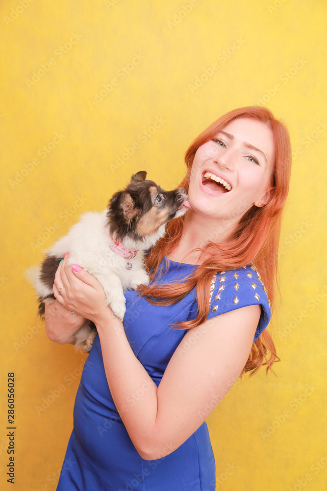 Relaxed red-haired girl embracing puppy on yellow background. Studio portrait of white appealing woman chilling with dog.
