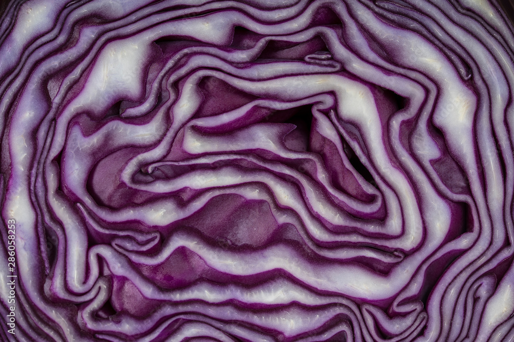 Background of the blue cabbage in the cut. Close up, top view. Texture raw purple cabbage Background of the blue cabbage in the cut. Close up, top view. Texture raw purple cabbage