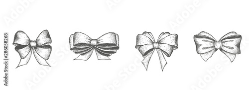 Decorative bows. Hand drawn illustration.