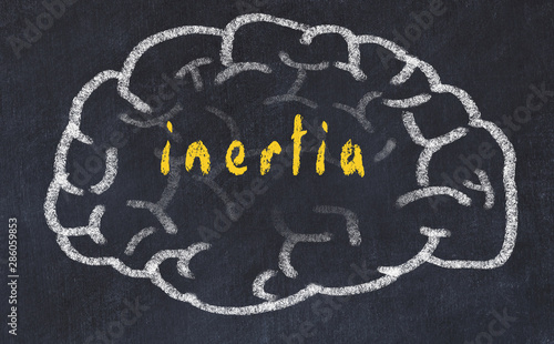 Fotografie Drawind of human brain on chalkboard with inscription inertia