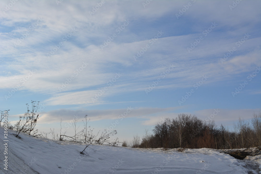 Beautiful winter scene with herbs and trees on the background of sky with white clouds. Beautiful winter scene with herbs and trees on the background of sky with white clouds.