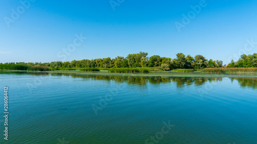 a river landscape. green water