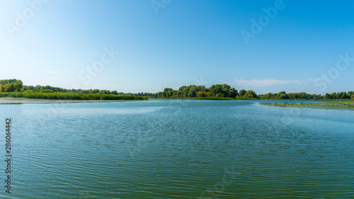 a river landscape. green water