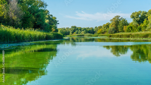 Fototapeta Naklejka Na Ścianę i Meble -  a river landscape. green water