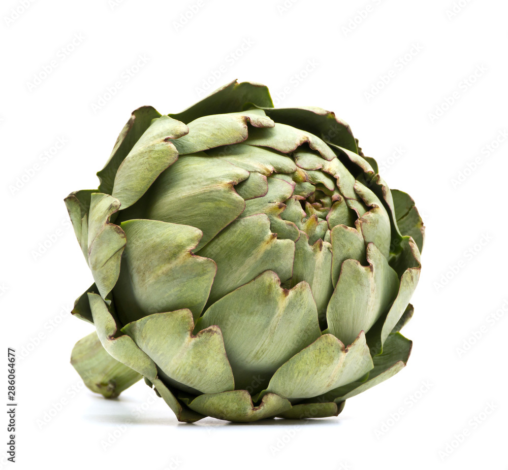 Artichoke isolated on white background Artichoke isolated on white background