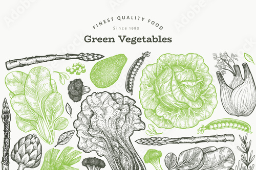 Green vegetables design template. Hand drawn vector food illustration. Engraved style vegetable banner. Retro botanical banner.