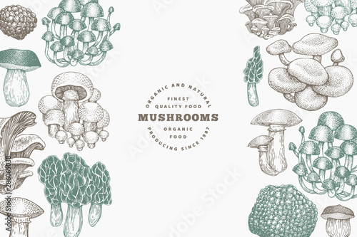 Mushrooms design template. Vector hand drawn illustrations. Mushroom in retro style. Autumn food background.