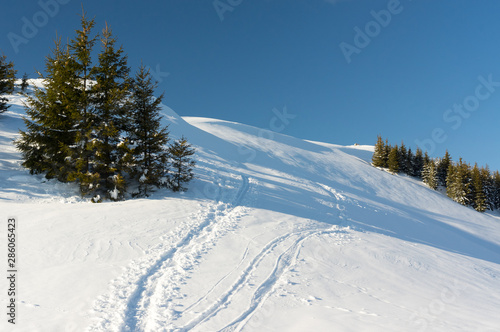 Winter landscape. Rodnei Mountaisn,. Transylvania, Romania © Popa