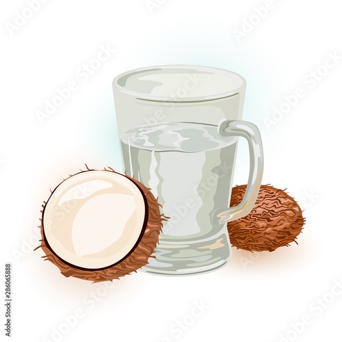 Coconut sap, water, wine or tuba in glass. Seeds or fruits of palm tree are near juice in transparent mug. Tropic summer beverage, drink. Cartoon vector illustration isolated on white background.