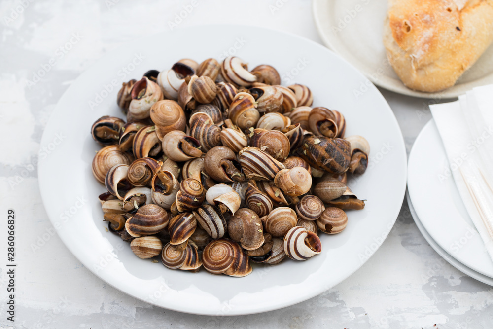 boiled snails on white plate on ceramic background boiled snails on white plate on ceramic background