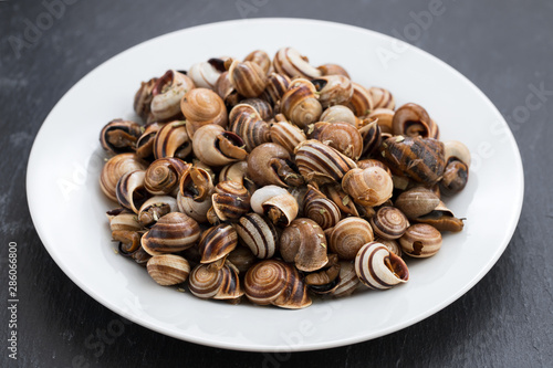 boiled snails on white plate on ceramic background photo