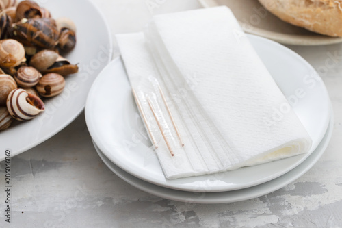 boiled snails on white plate on ceramic background photo