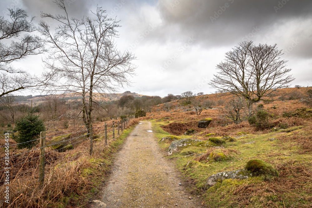 Dartmoor In Winter
