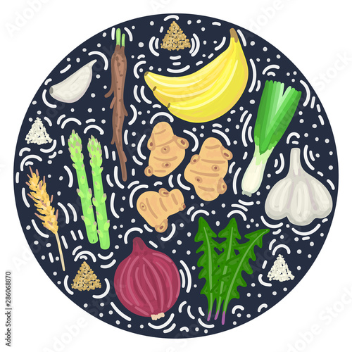 Prebiotic food. Nutrition. Nondigestible fibers. Gastrointestinal Health. Healthy diet supplement. Card, cover, label, package, brochure, banner, poster, advertisement, leaflet. Vector, eps10