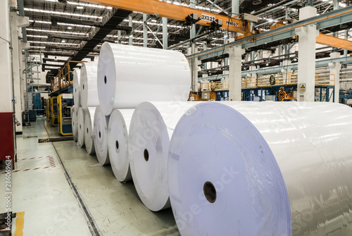 Big White Paper Rolls in a printing plant, recycling of waste paper.