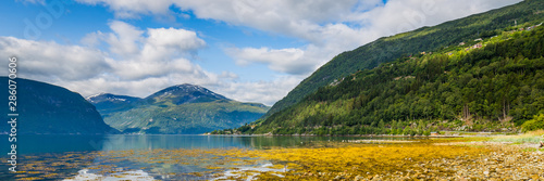 Panoramic view from Sylte or Valldal of Norddalsfjorden in Norway with Valldalen valley  flowers  moutnains and coastline.