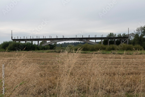 an unfinished bridge stands on the river in the meadow