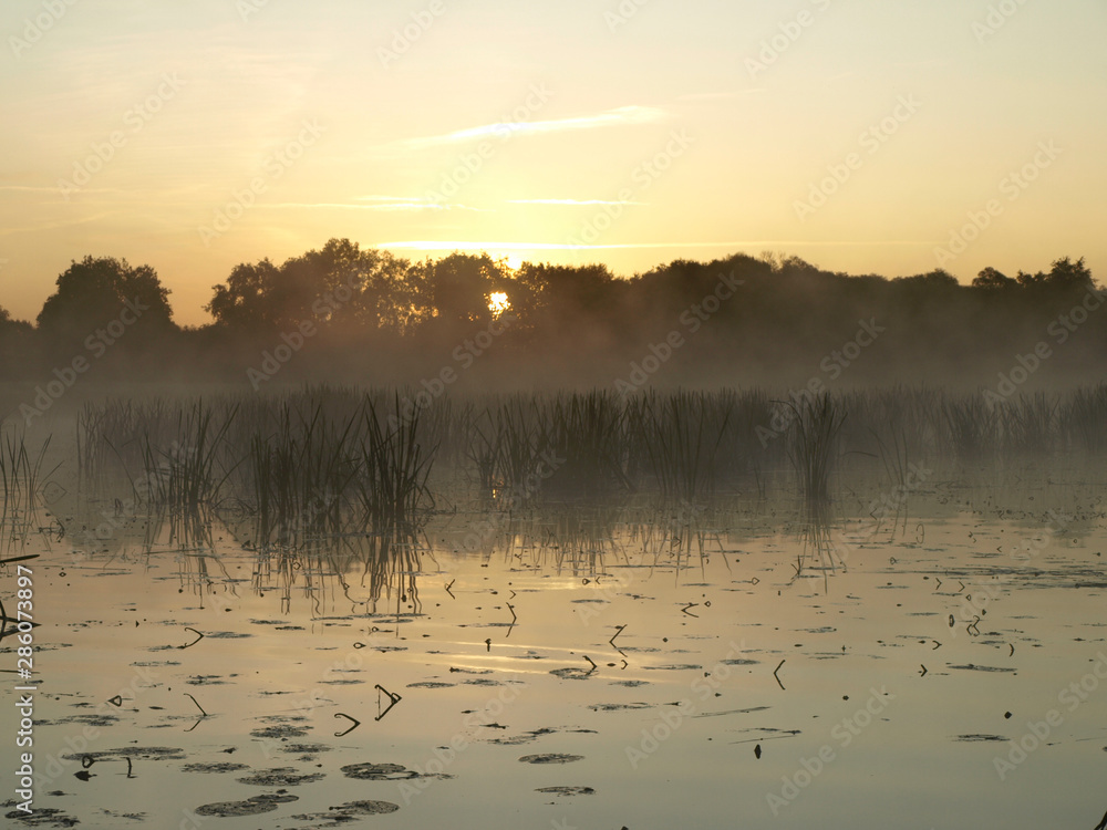 blur fantastic foggy river with green grass in the sunlight. Salaca river, Burtnieks Lake, Latvia blur fantastic foggy river with green grass in the sunlight. Salaca river, Burtnieks Lake, Latvia