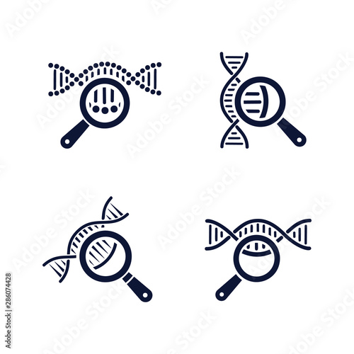 DNA testing icons set. DNA chain in magnifying glass sign. genetic engineering, cloning, paternity testing, DNA analysis. Vector illustration on white background.