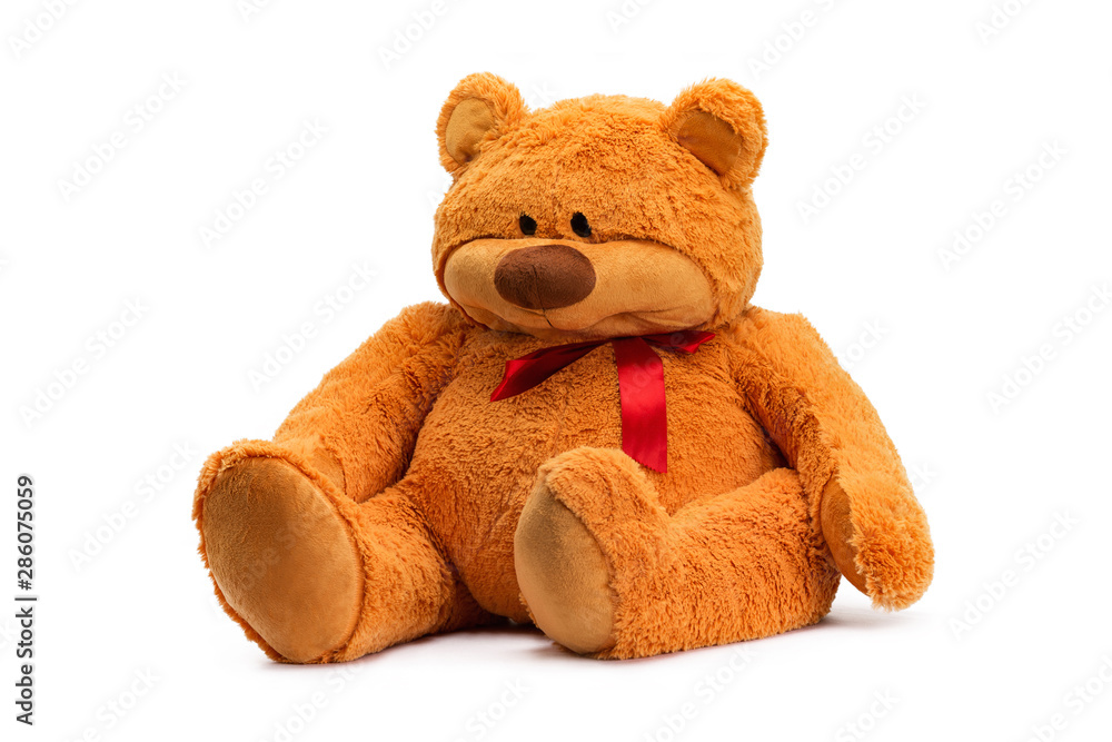 Image of brown toy teddy bear sitting at white isolated background. Image of brown toy teddy bear sitting at white isolated background.