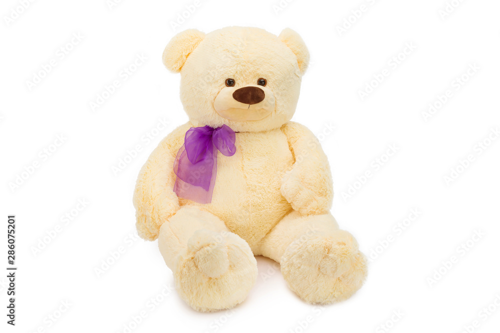 Fototapeta premium Image of golden toy teddy bear sitting at isolated white background.
