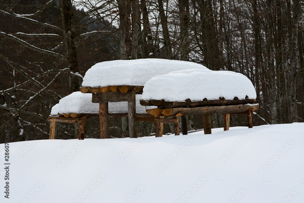 a table and two benches covered with snow a table and two benches covered with snow