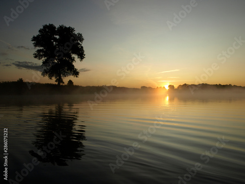 foggy blured orange sunrise at a river, the burning sky is reflected in calm water , dark tree silhouettes, Salaca river, Burtnieks lake, Latvia © ANDA