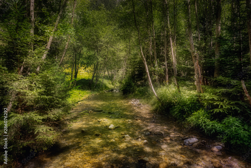Fototapeta premium Seebachtal, Kärnten