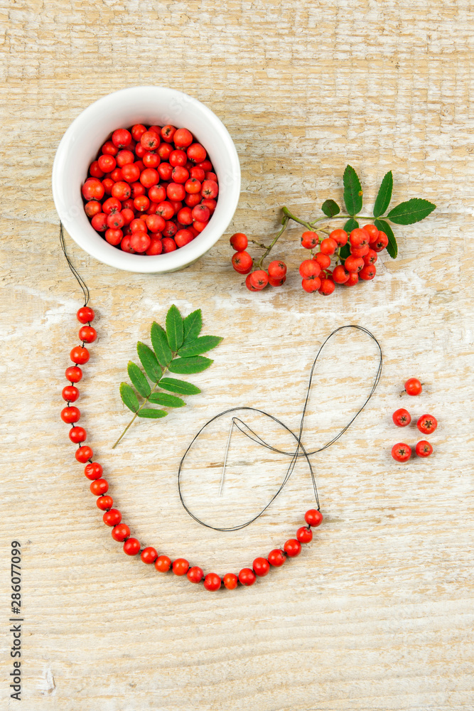 Making protective rowan berry charm necklace, it is believed that rowan tree berries have magical properties. Old folklore concept. Light natural wooden background. Making protective rowan berry charm necklace, it is believed that rowan tree berries have magical properties. Old folklore concept. Light natural wooden background.
