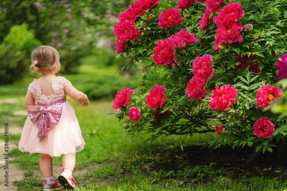 Little blond child in a pink dress walking between flowers in the park. Back view