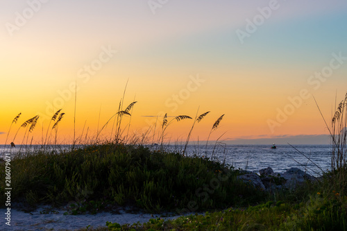 Sunset sky at the beach with sea grasses