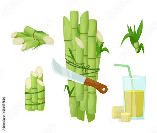 Sugarcane herb and juice. Fresh squeezed sugar cane in glass with stalks and sugar cubes. Natural organic product food and drink farm vector cartoon illustration