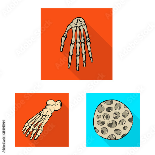 Vector design of bone and skeleton logo. Set of bone and human stock vector illustration.