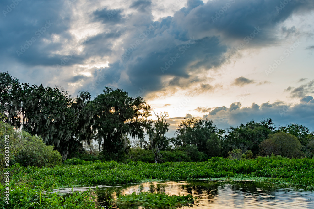 Landscape of the Florida wilderness, pond and storm clouds at dawn