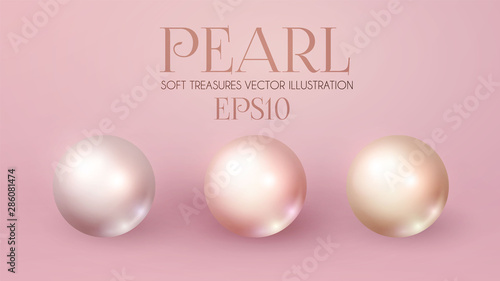 Elegant 3D Pink Pearls Set. Pearl Beads. Treasure Realistic Design.