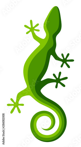 Green lizard on a white background